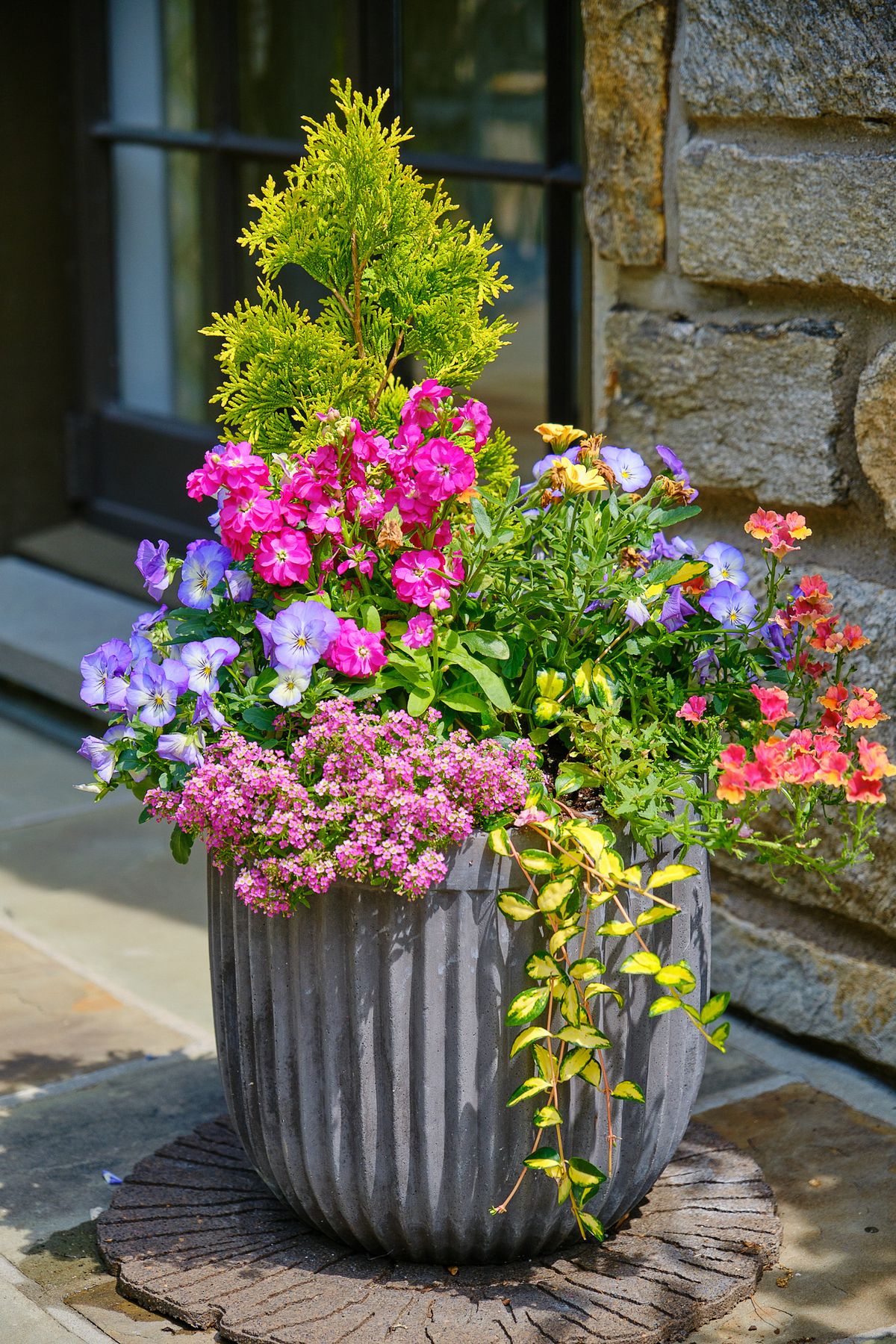 Enliven Planters spring container arrangement